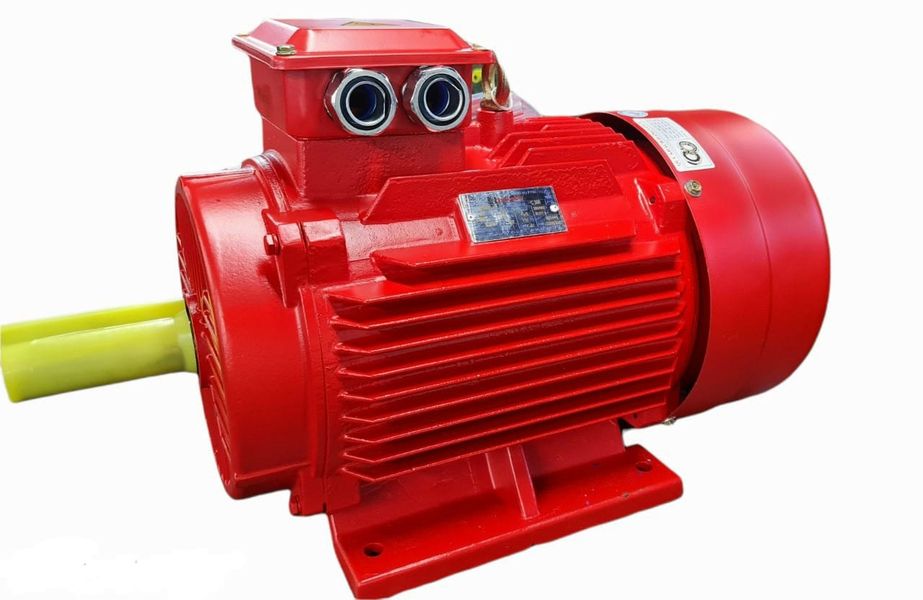 Động cơ chịu nhiệt 300 độ/2h Toàn Phát