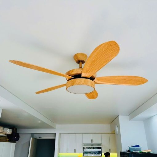 BNN- Quạt Decor 5 Cánh Ø1422 | QT33N